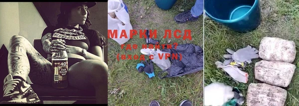 ГАЛЛЮЦИНОГЕННЫЕ ГРИБЫ Аркадак