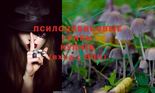 эйфоретик Армянск