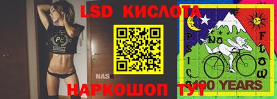 индика Малгобек