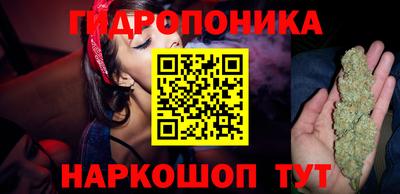 индика Малгобек