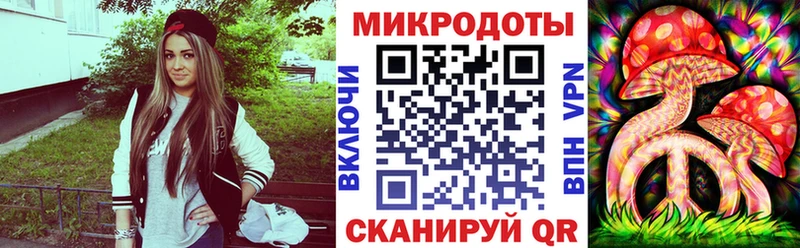 Купить Самара Галлюциногенные грибы Psilocybe