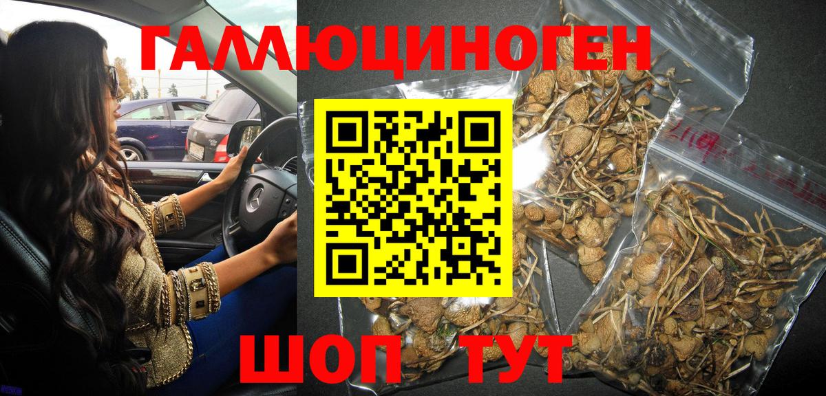 Галлюциногенные грибы MAGIC MUSHROOMS Самара