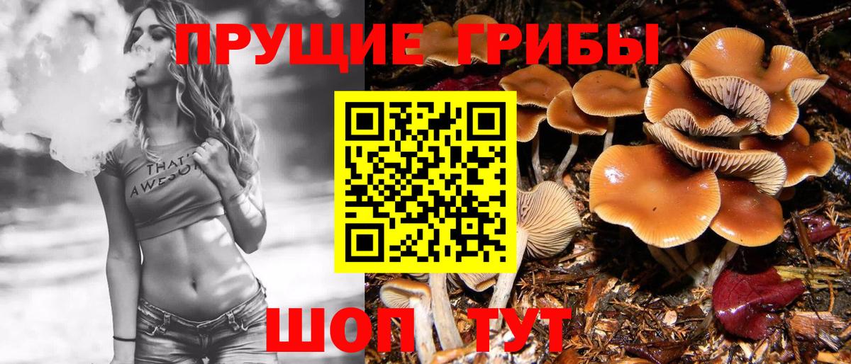 Самара  Галлюциногенные грибы Psilocybine cubensis  Галлюциногенные грибы ЛСД  Вход с VPN 